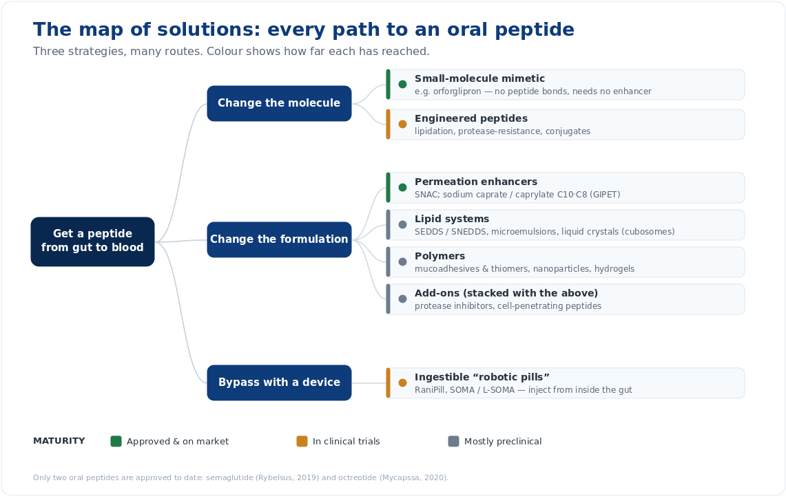 Figure 5 — The landscape of approaches, from changing the molecule to bypassing the gut with a device. Only two oral pep